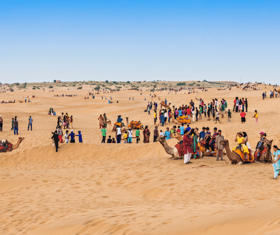Desert Camp Experience